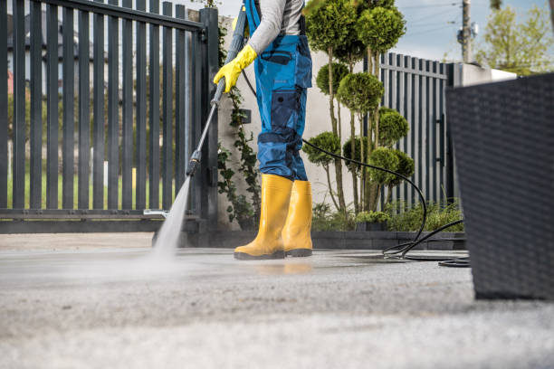 Best Soft Washing for Delicate Surfaces in Westport, NC